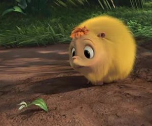 team_image.00:00:38.437686