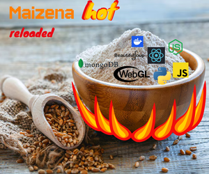 team_image.02:16:27.938439