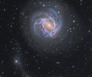 team_image.06:08:42.243895