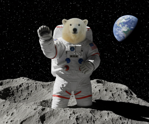 team_image.14:10:49.449301