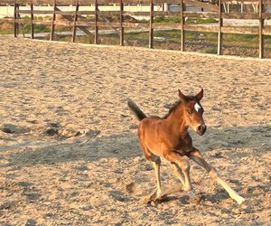 team_image.16:00:04.723495