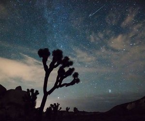 team_image.15:39:43.546339