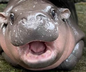 team_image.15:31:34.160824