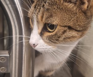 team_image.18:10:01.183605