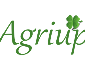 team_image.07:37:35.829874