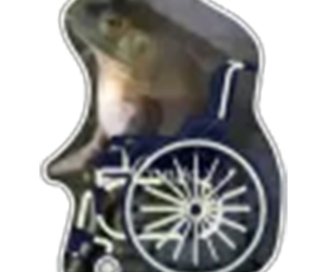 team_image.15:53:21.781704