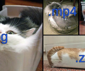 team_image.01:45:40.538739
