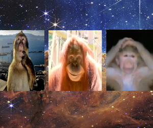 team_image.17:37:01.248309