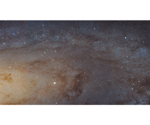 team_image.04:13:20.210369