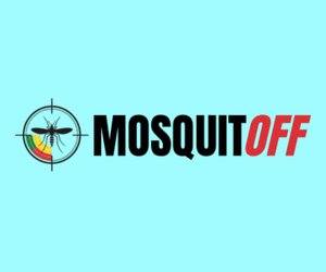 team_image.17:49:40.668556