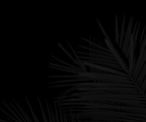 team_image.01:01:28.025221